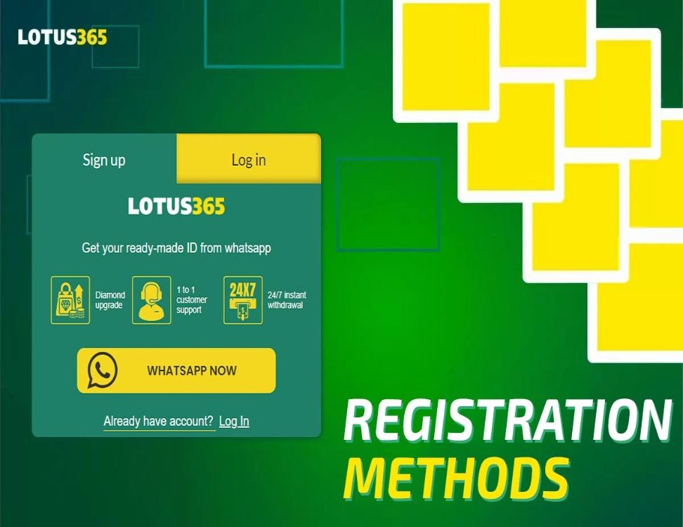 Lotus365 Uncovered: Insights Into Growth And Expansion